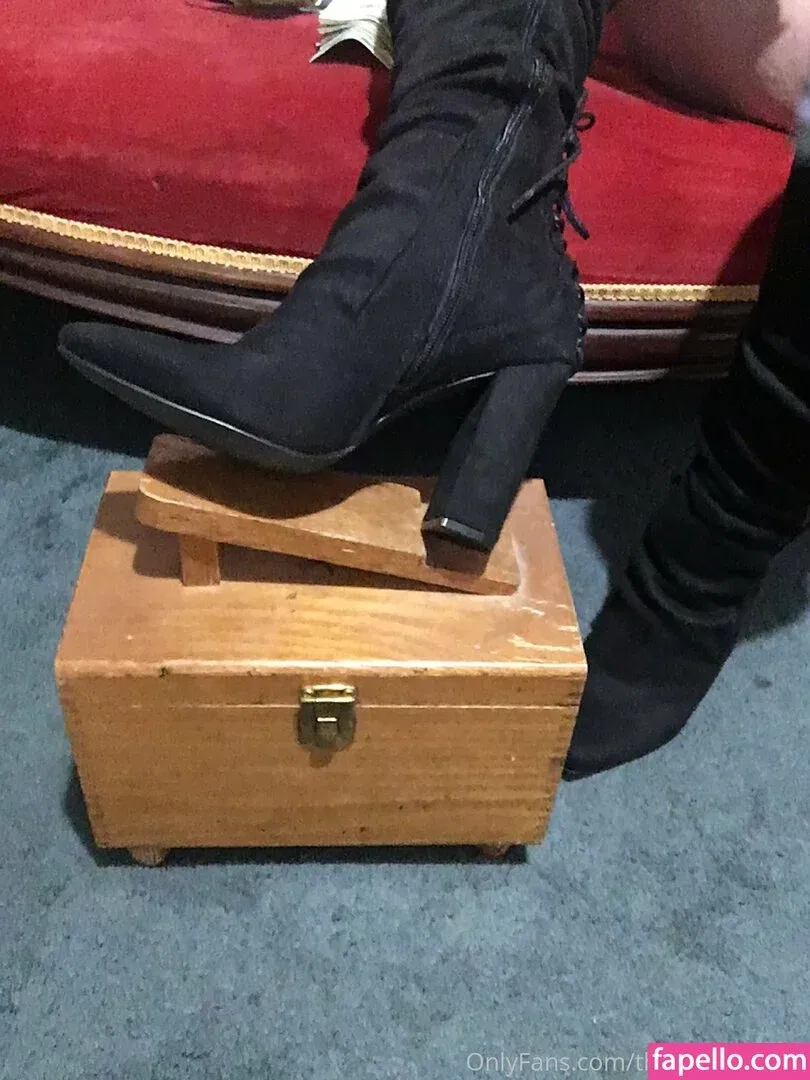 theapplejacked Onlyfans Photo Gallery 