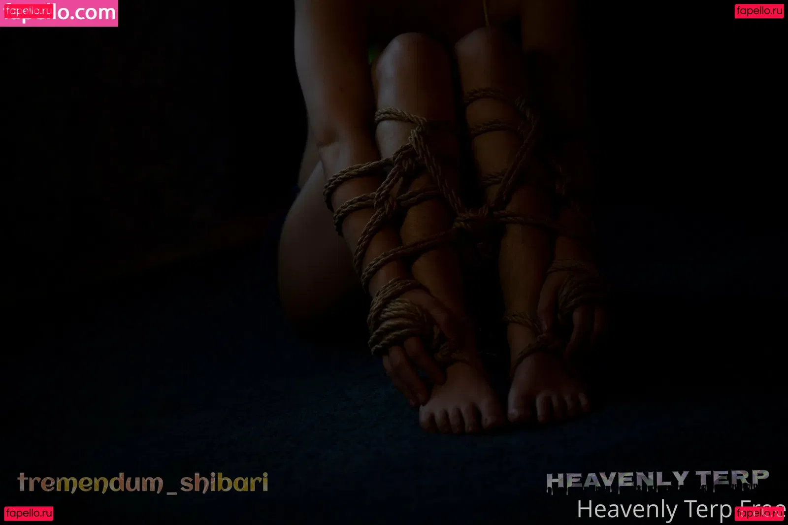 heavenlyterpvip Onlyfans Photo Gallery 