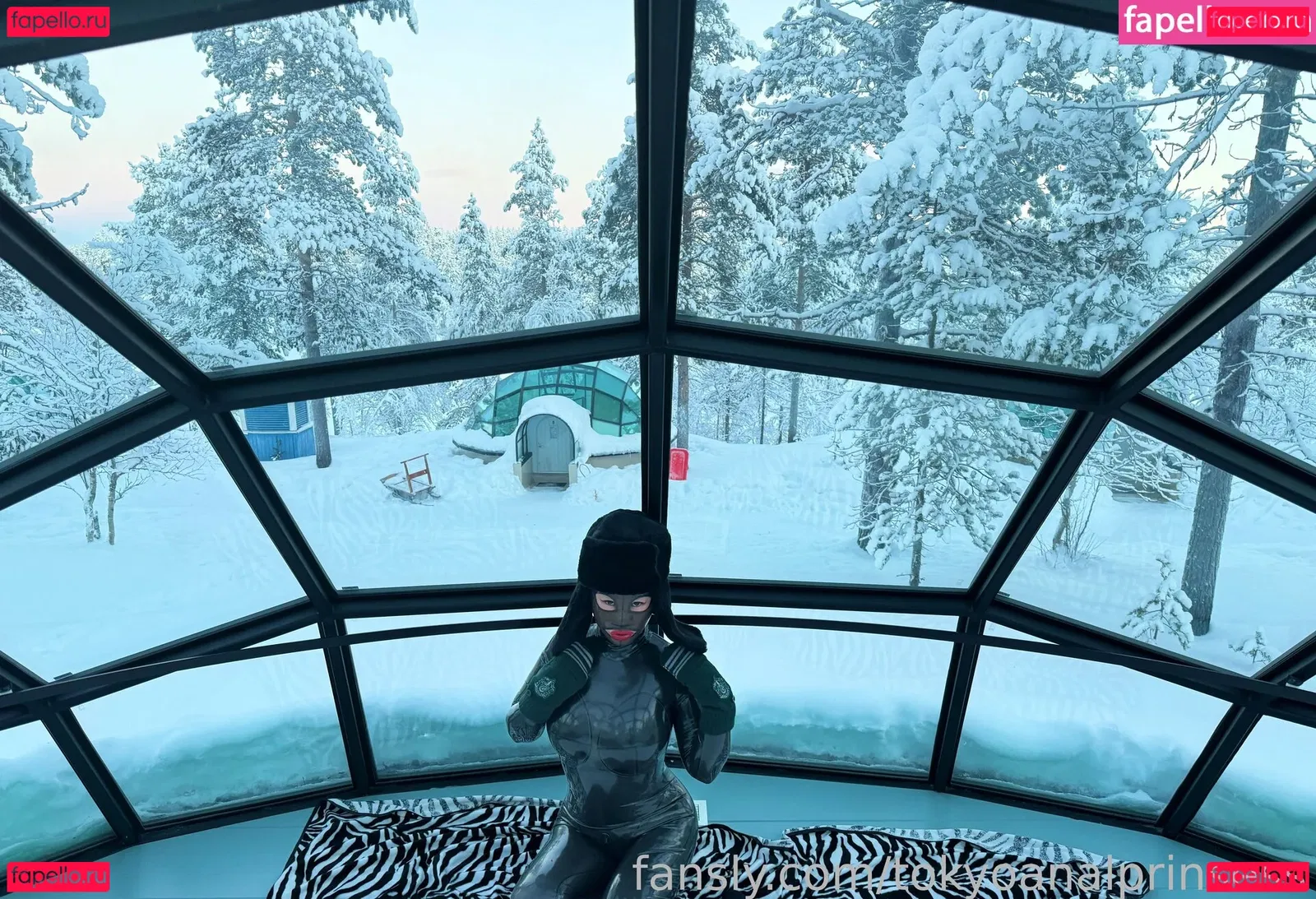 tokyoanalprinsess Onlyfans Photo Gallery 