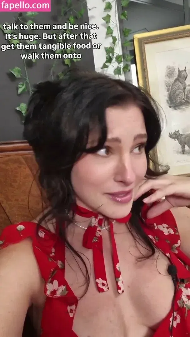 Notsoerudite Onlyfans Photo Gallery 