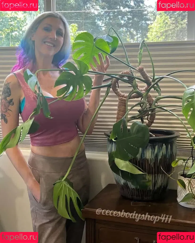 cecesbodyshop411 Onlyfans Photo Gallery 