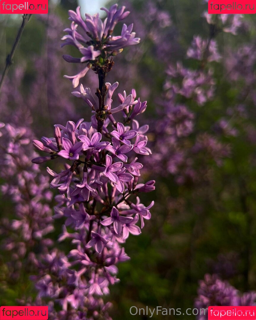 helga1 Onlyfans Photo Gallery 