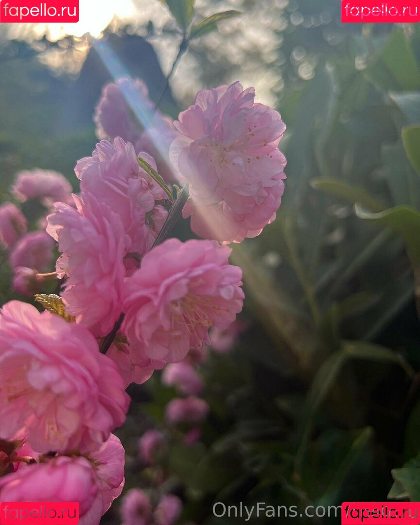 helga1 Onlyfans Photo Gallery 