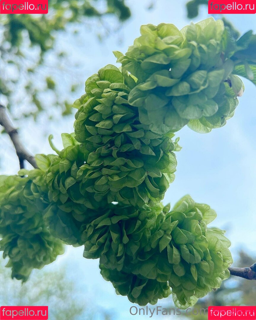 helga1 Onlyfans Photo Gallery 