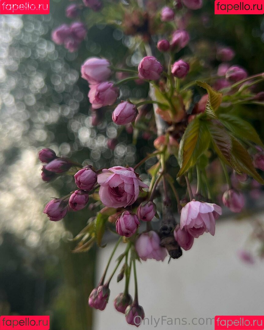 helga1 Onlyfans Photo Gallery 