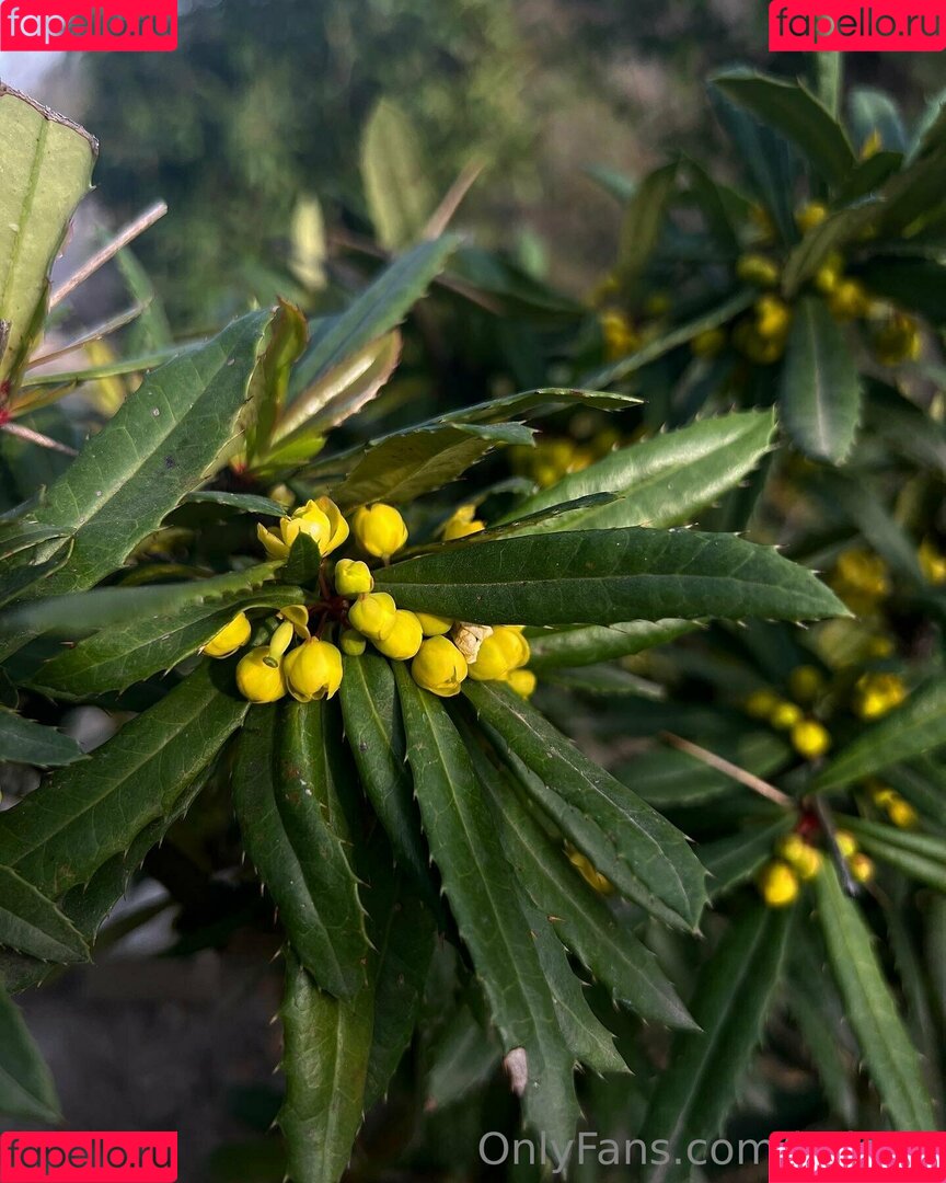 helga1 Onlyfans Photo Gallery 