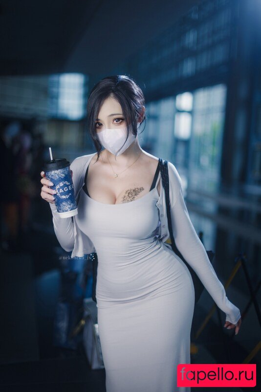 Nekoneko JX Nude Onlyfans Photo 13