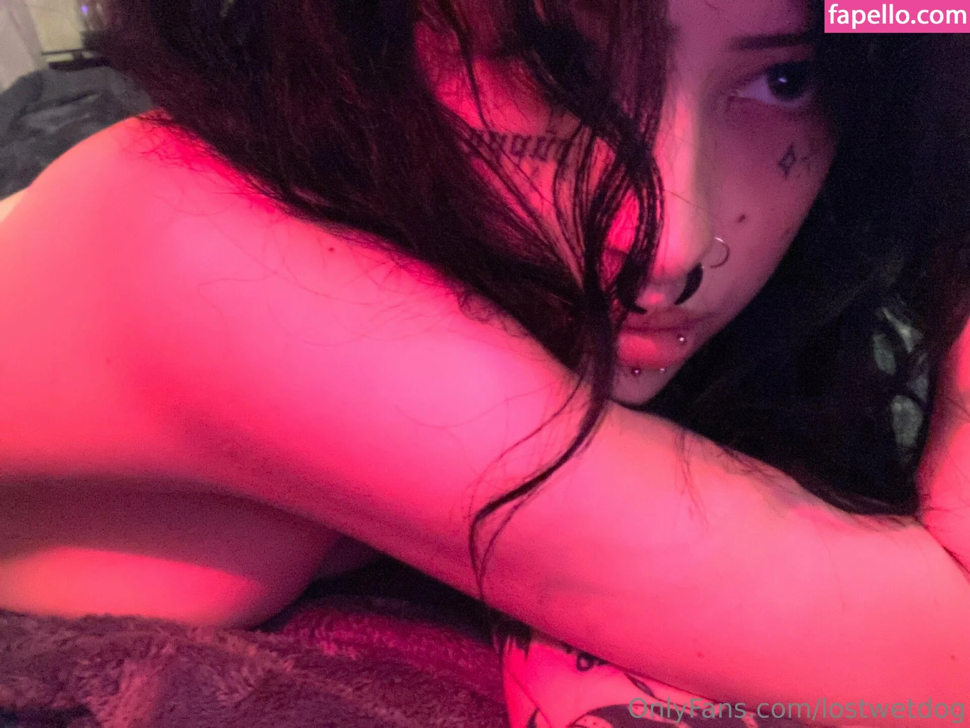 Lostwetdog Onlyfans Photo Gallery 