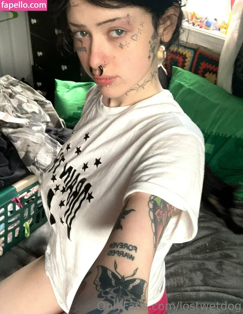 Lostwetdog Onlyfans Photo Gallery 