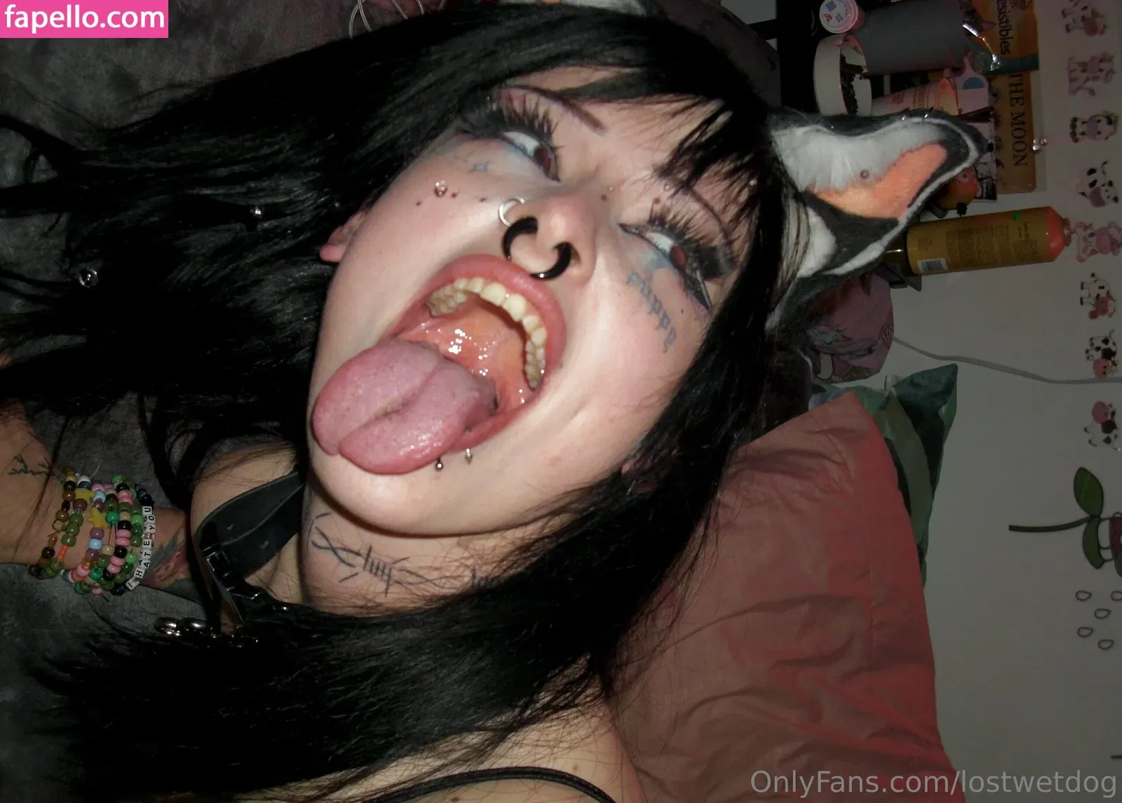 Lostwetdog Onlyfans Photo Gallery 