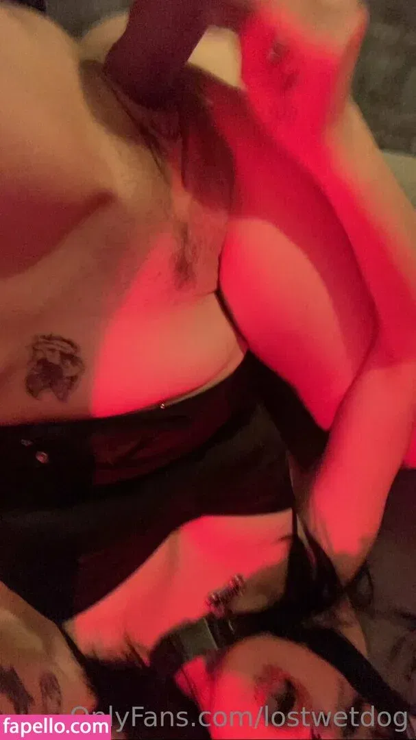 Lostwetdog Onlyfans Photo Gallery 