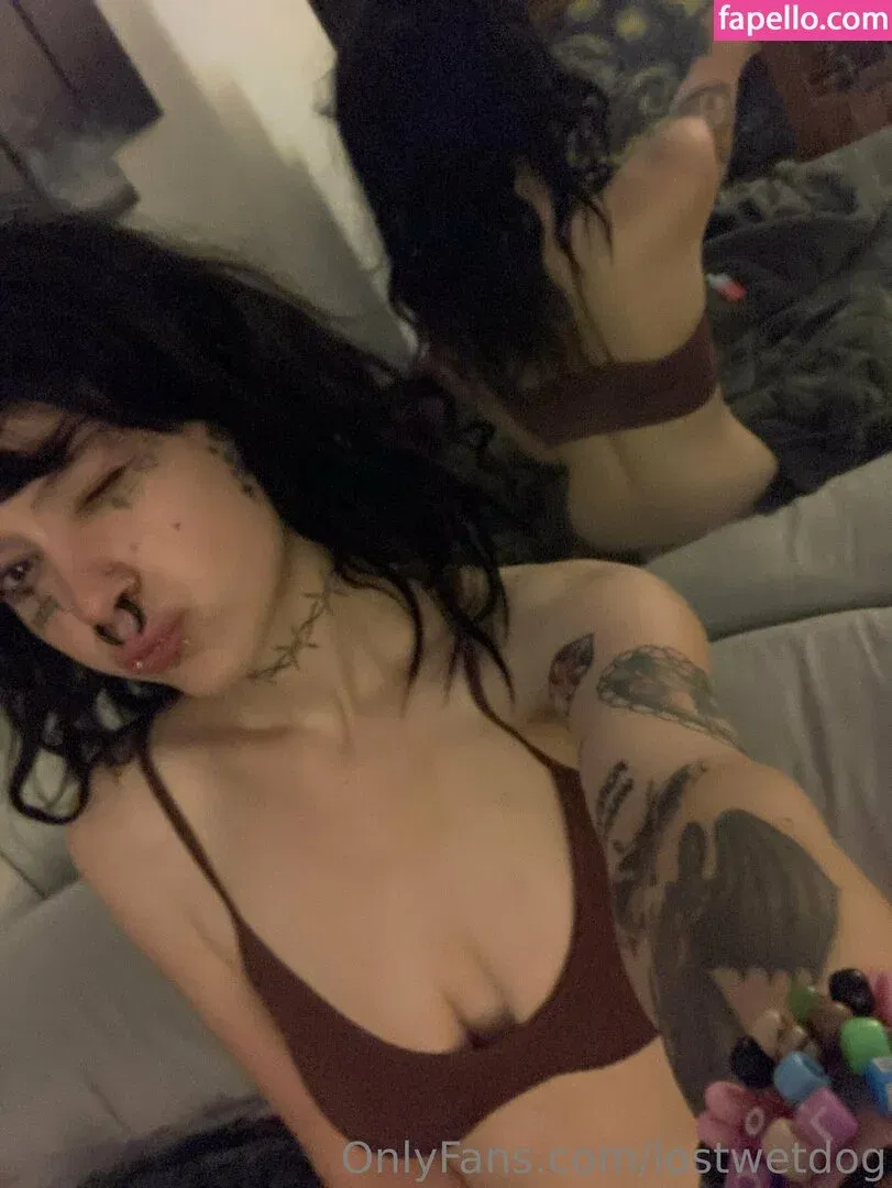 Lostwetdog Onlyfans Photo Gallery 