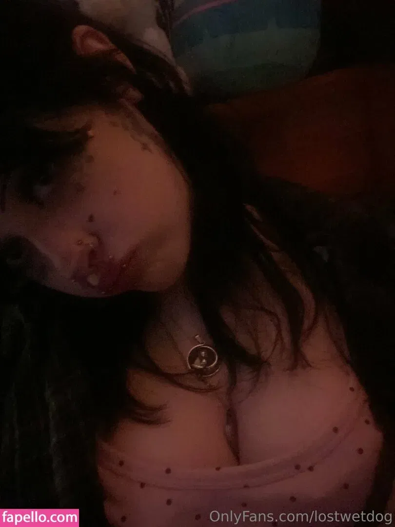 Lostwetdog Onlyfans Photo Gallery 