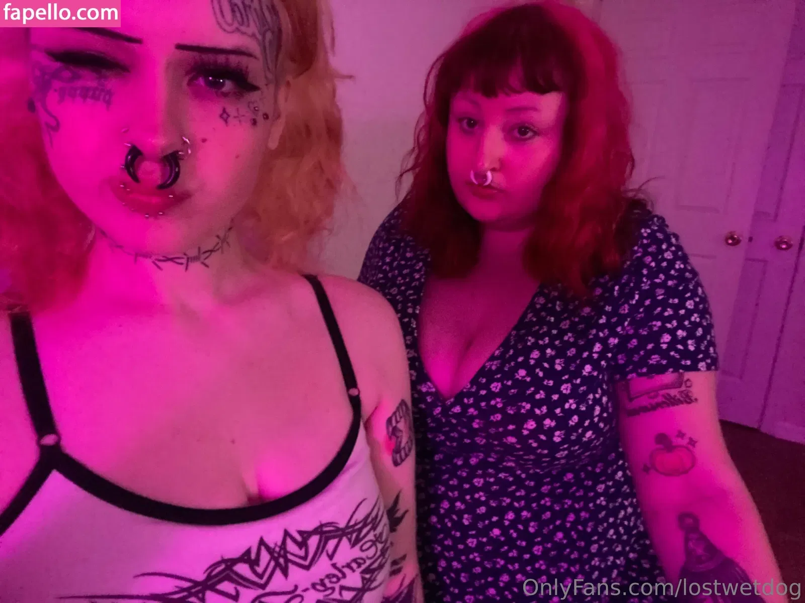 Lostwetdog Onlyfans Photo Gallery 