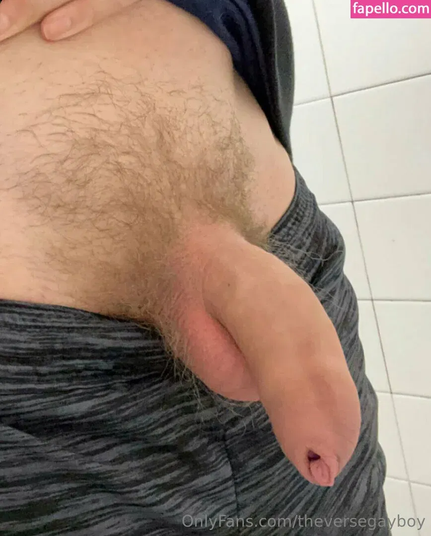 theversegayboy Onlyfans Photo Gallery 