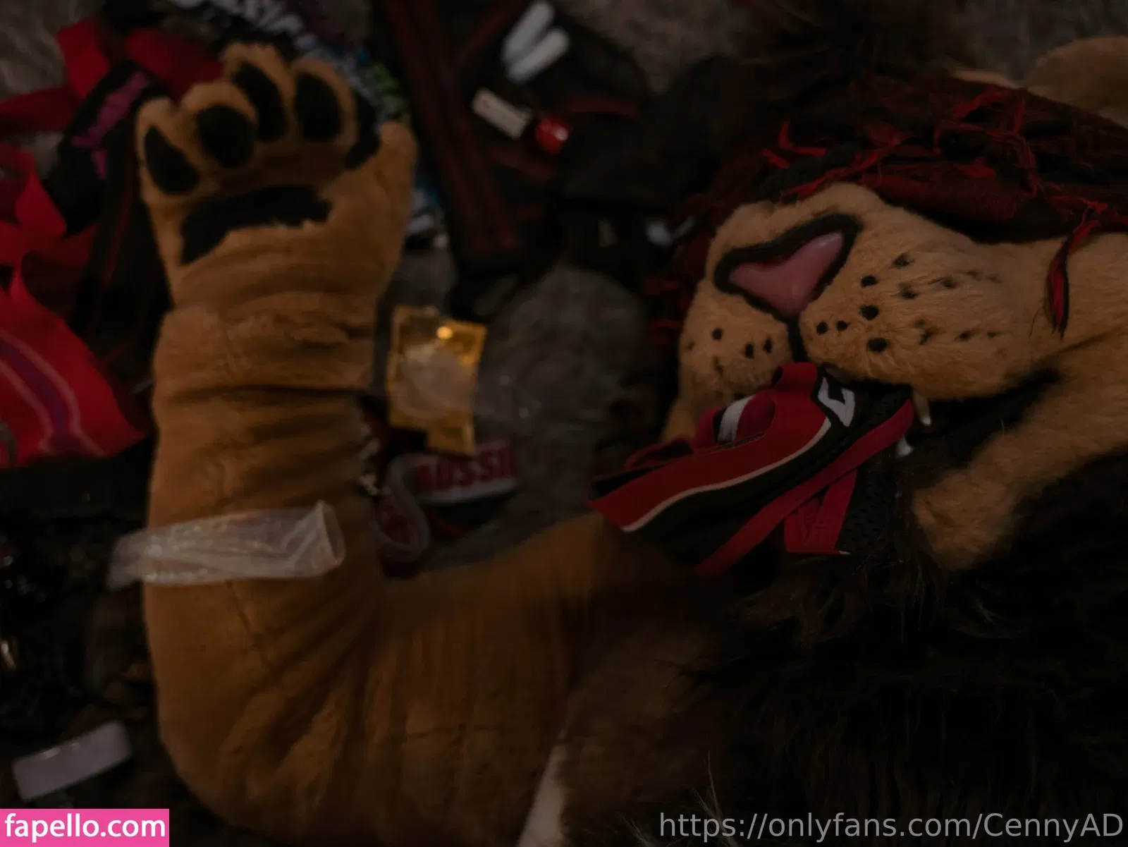 cennyad Onlyfans Photo Gallery 