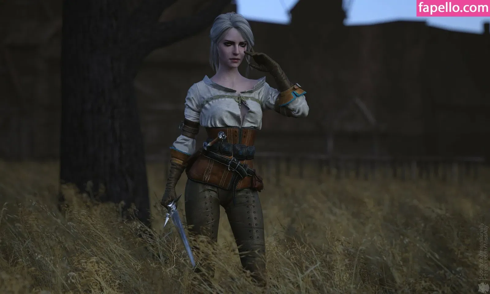 The Witcher Onlyfans Photo Gallery 