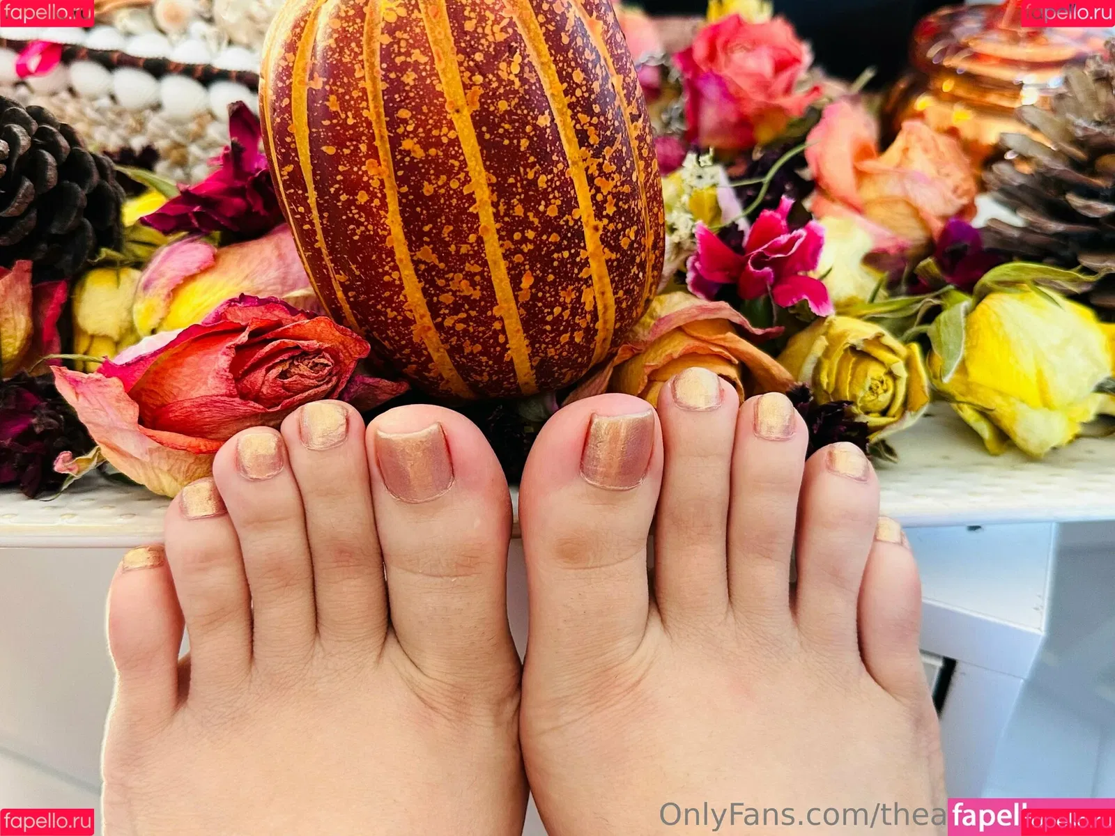 theashleyfancy Onlyfans Photo Gallery 