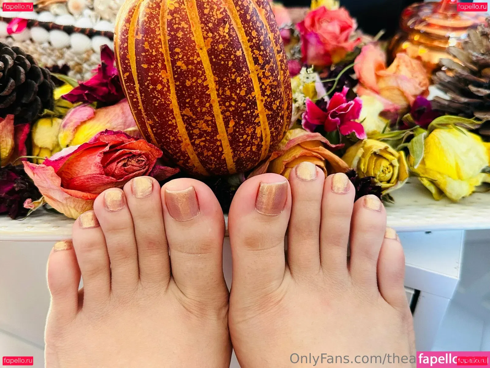 theashleyfancy Onlyfans Photo Gallery 