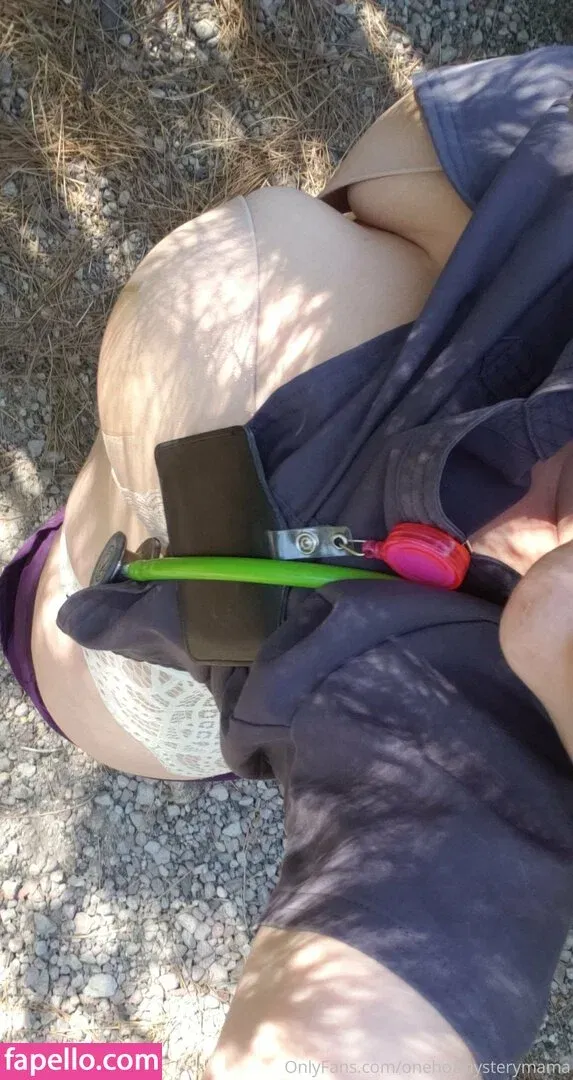 onehotmysterymama Onlyfans Photo Gallery 