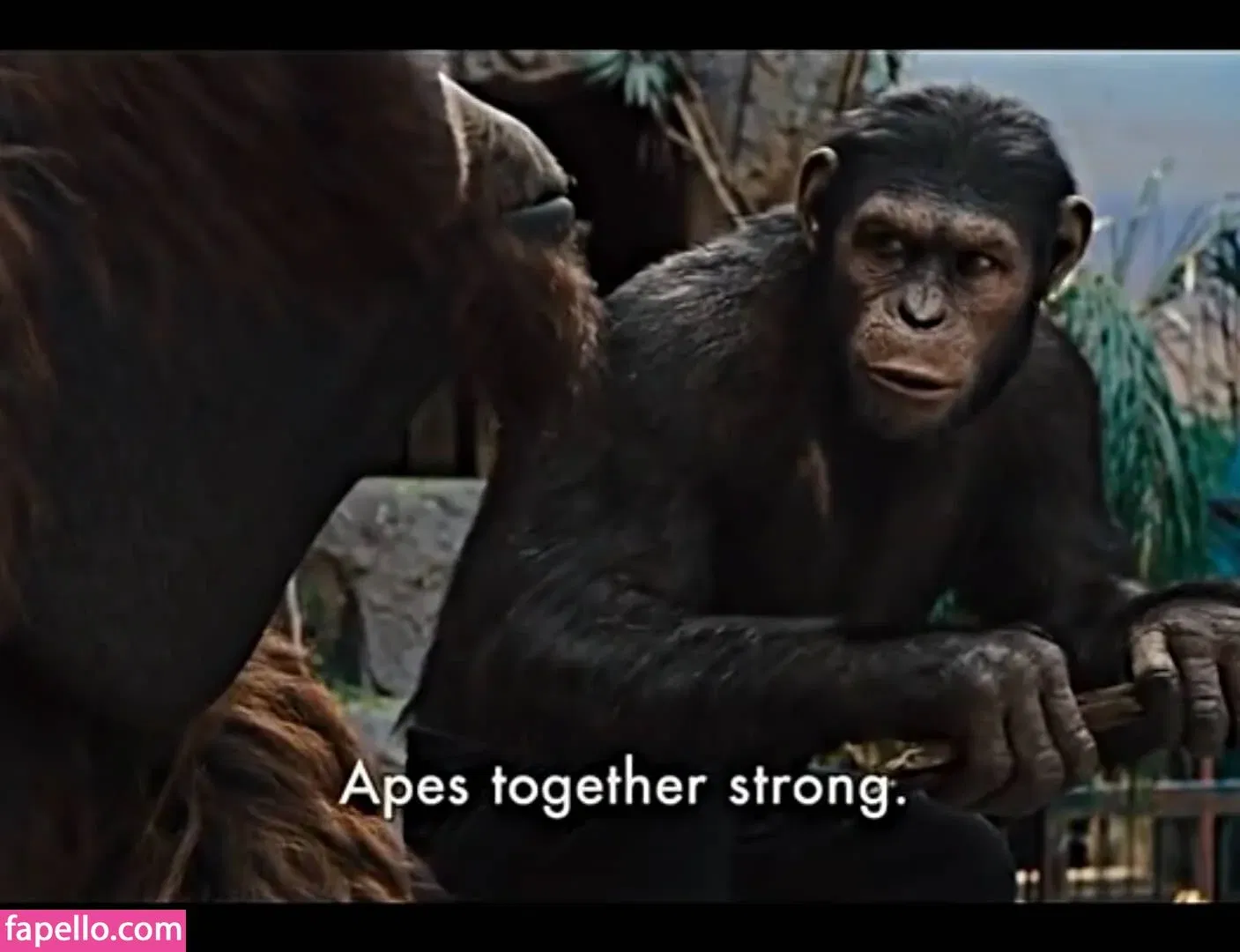 lilijunex Onlyfans Photo Gallery 