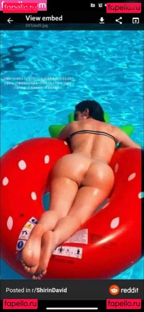 Shirin David Onlyfans Photo Gallery 