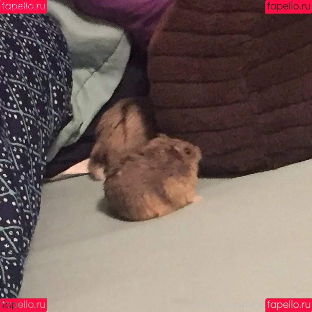 geminiscamp Onlyfans Photo Gallery 