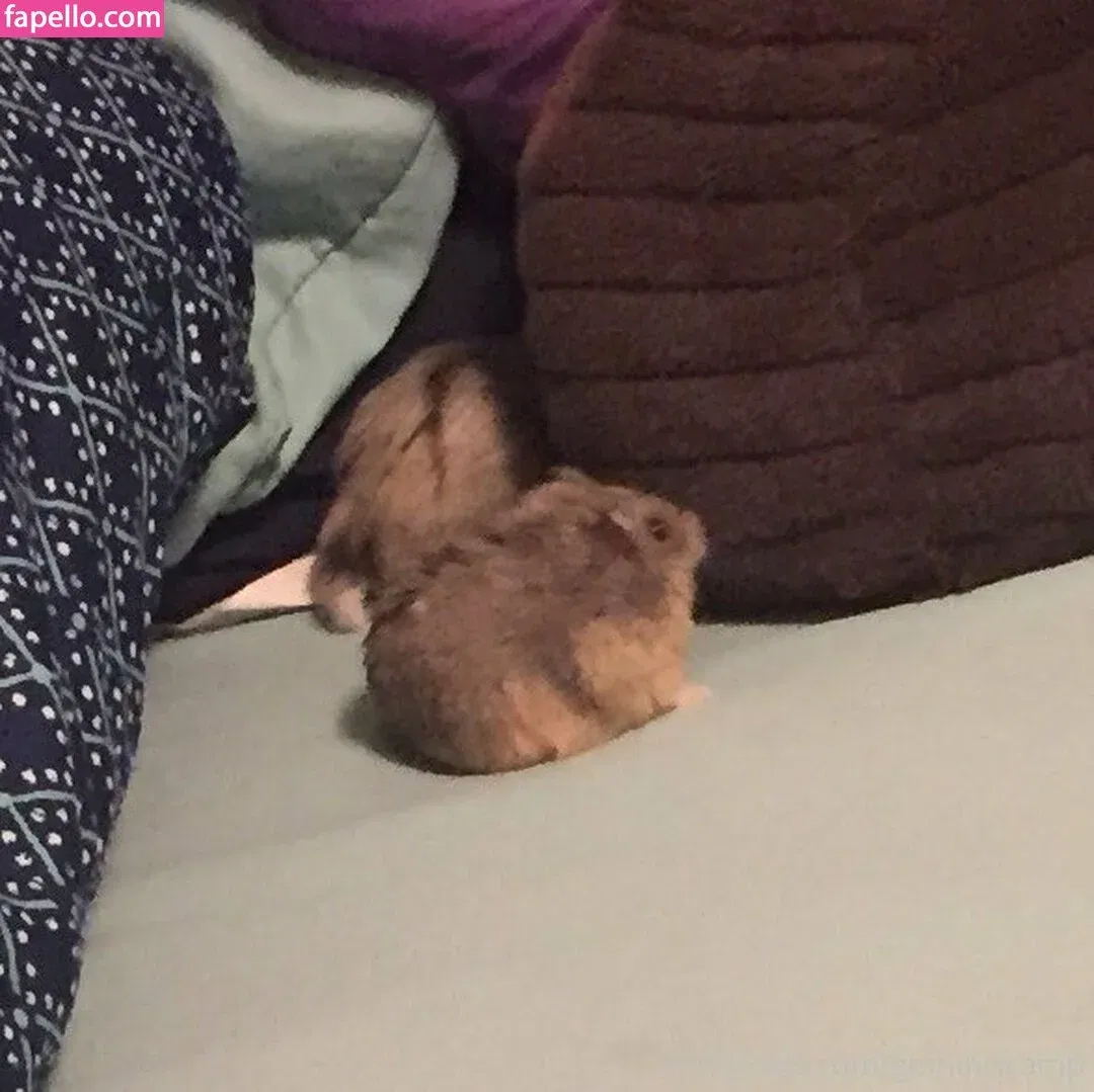 geminiscamp Onlyfans Photo Gallery 