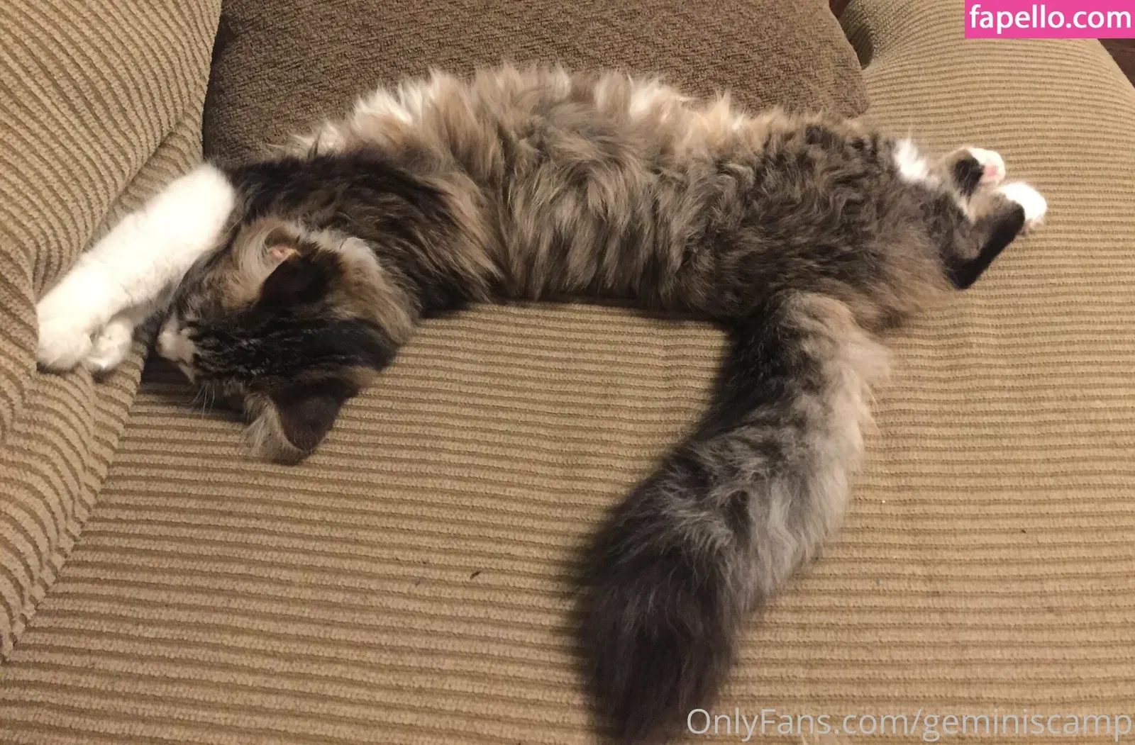 geminiscamp Onlyfans Photo Gallery 