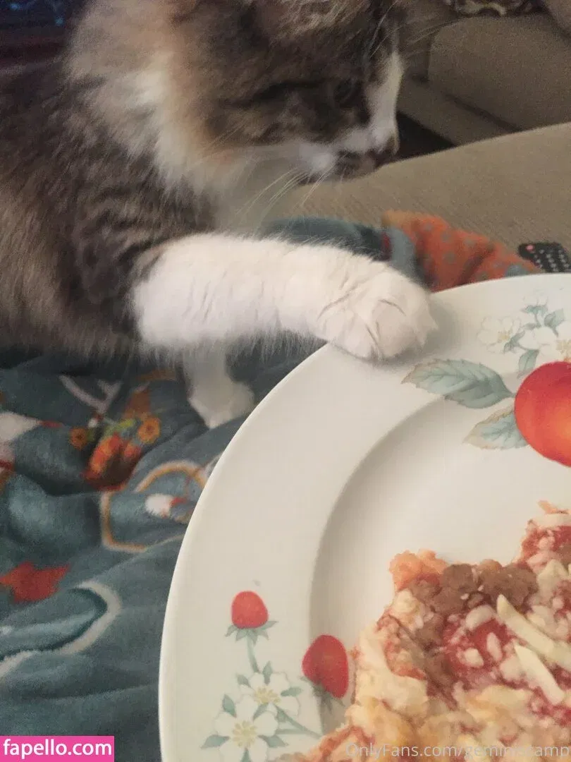 geminiscamp Onlyfans Photo Gallery 