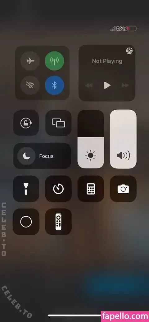 HoneyPuu Onlyfans Photo Gallery 