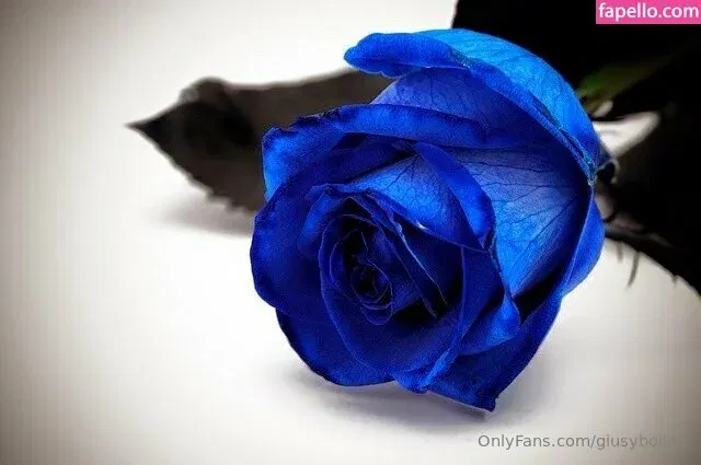 only_queen84 Onlyfans Photo Gallery 