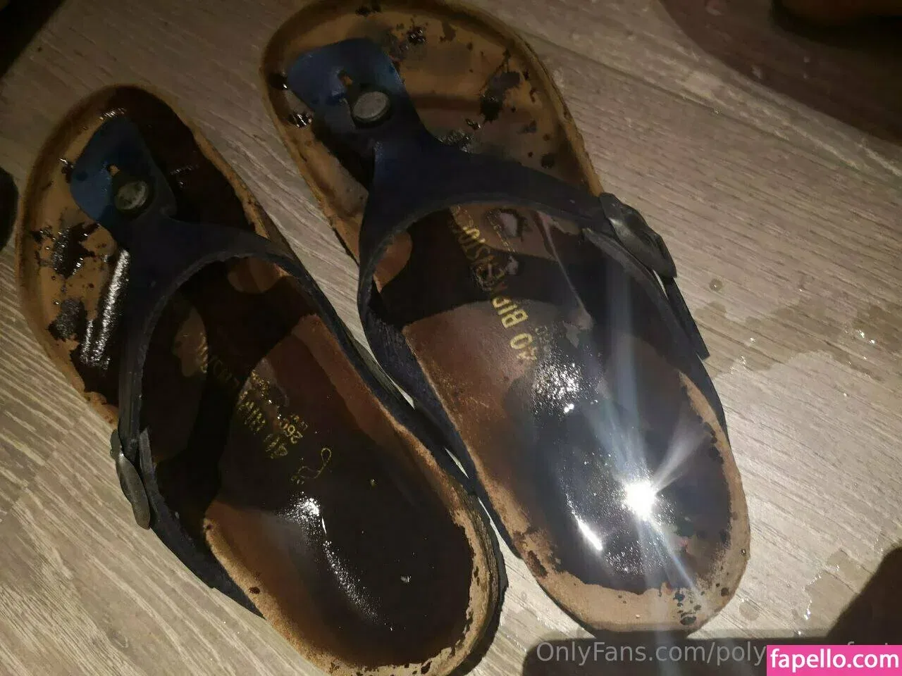 birki-heaven Onlyfans Photo Gallery 