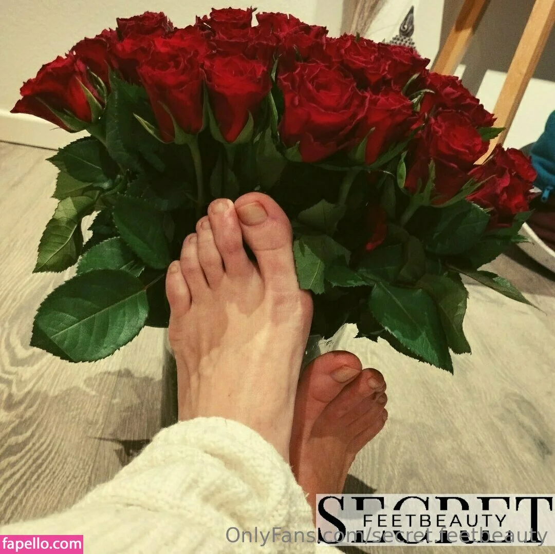 birki-heaven Onlyfans Photo Gallery 