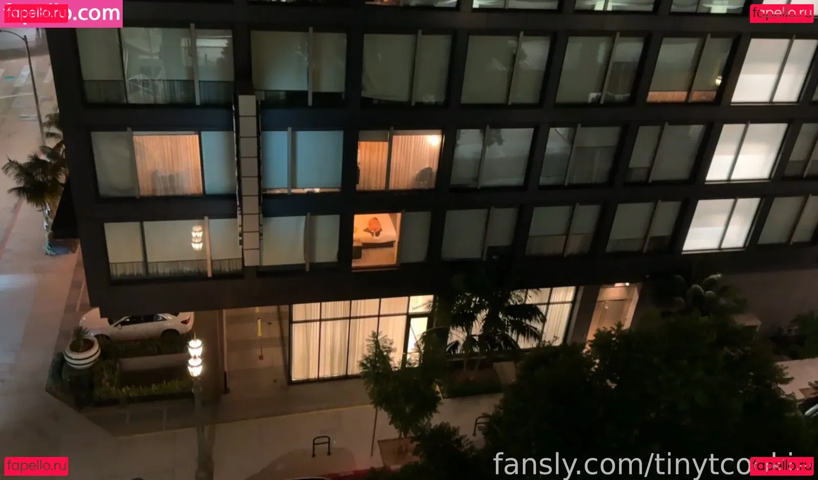 tinytcookie Onlyfans Photo Gallery 