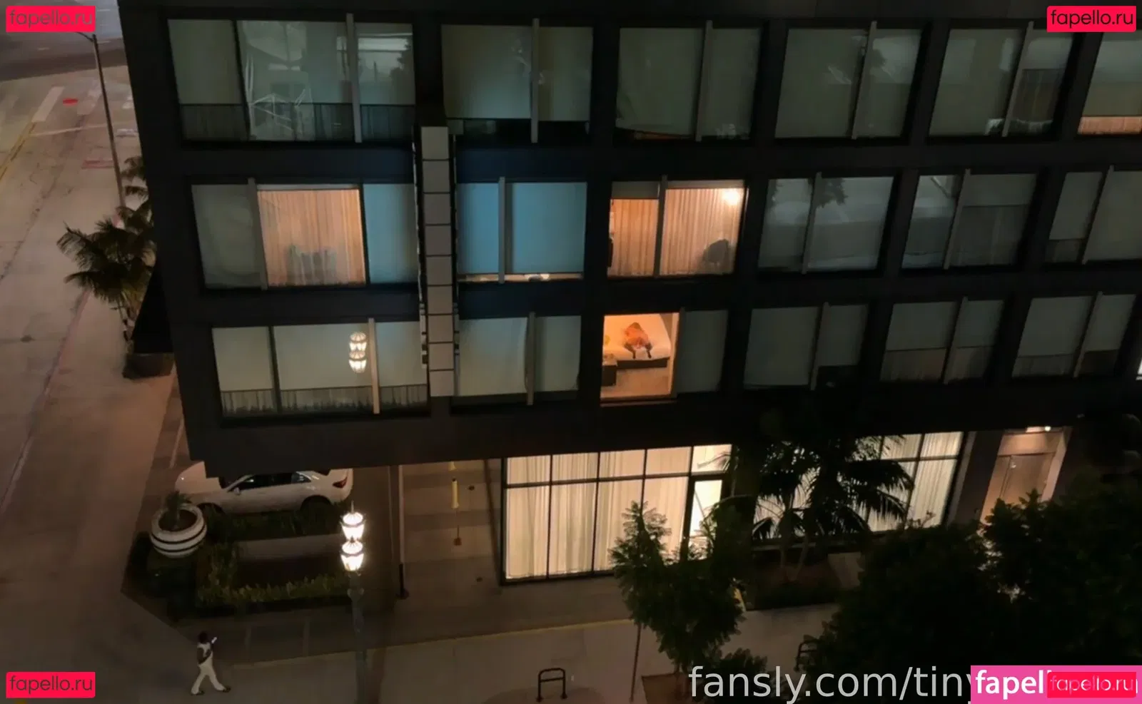 tinytcookie Onlyfans Photo Gallery 