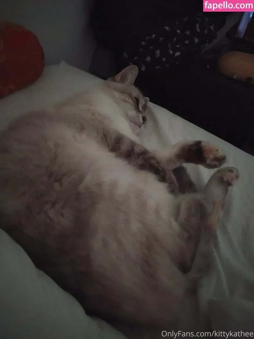 kittykathee Onlyfans Photo Gallery 
