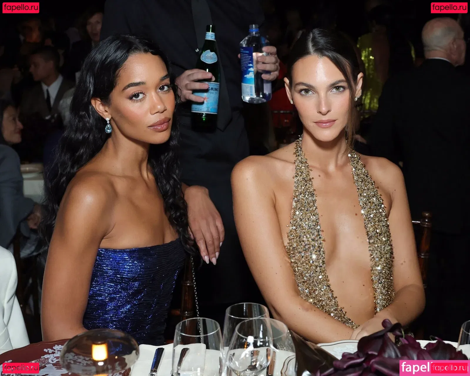 Vittoria Ceretti Onlyfans Photo Gallery 