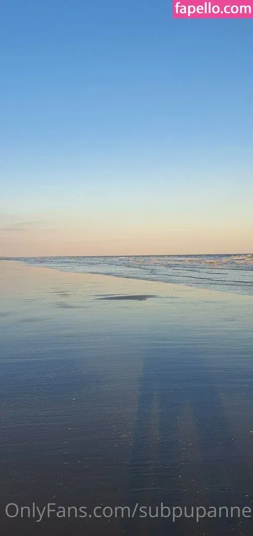 subpupanne Onlyfans Photo Gallery 