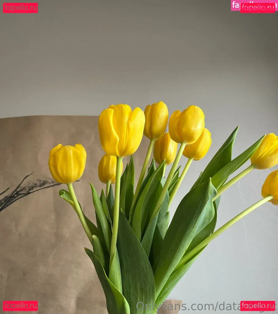 data-night Onlyfans Photo Gallery 