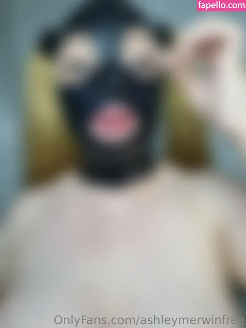 ashleymerwinfree Onlyfans Photo Gallery 