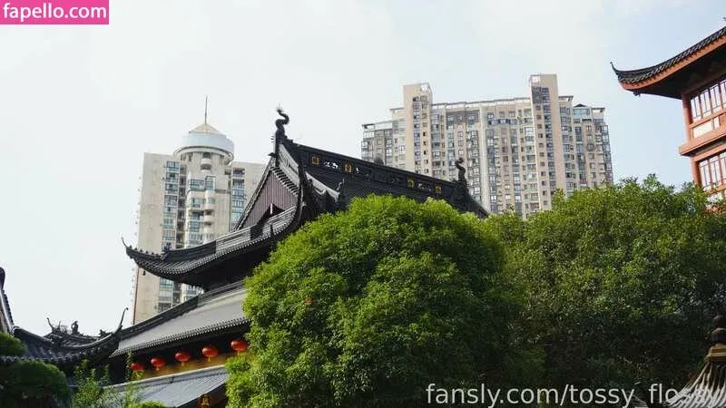 tossy_flossy Onlyfans Photo Gallery 