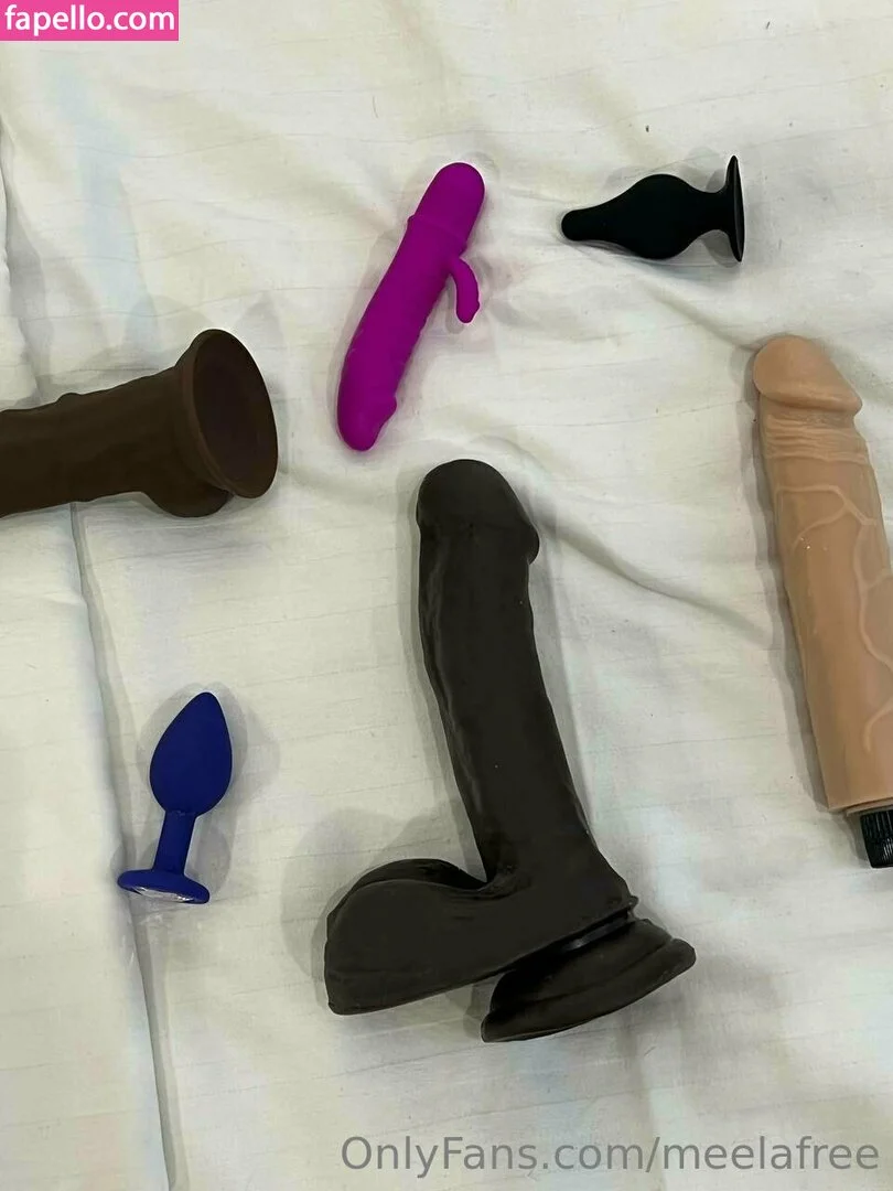 meelafree Nude Onlyfans Photo 51
