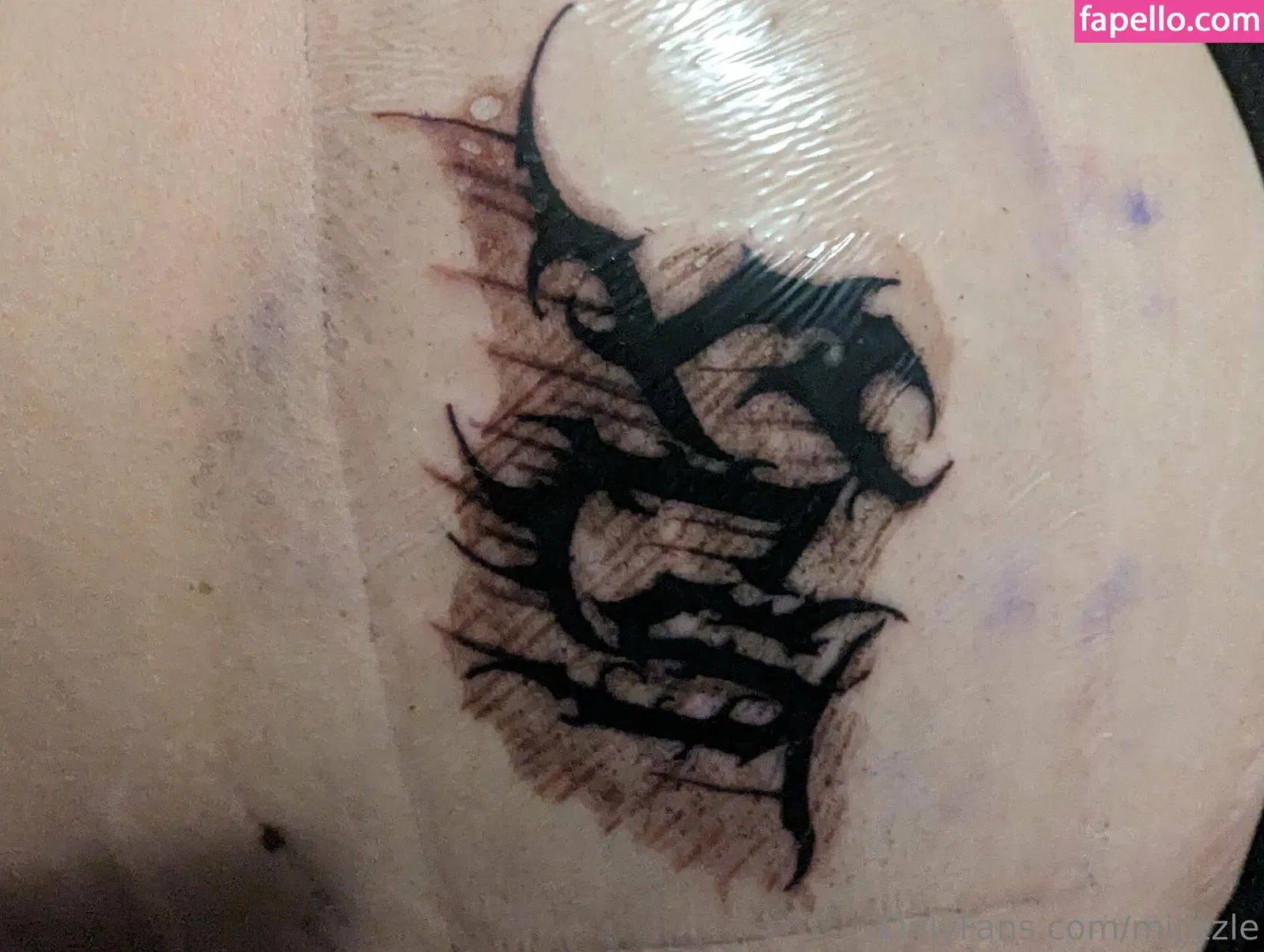 mijizzle Onlyfans Photo Gallery 