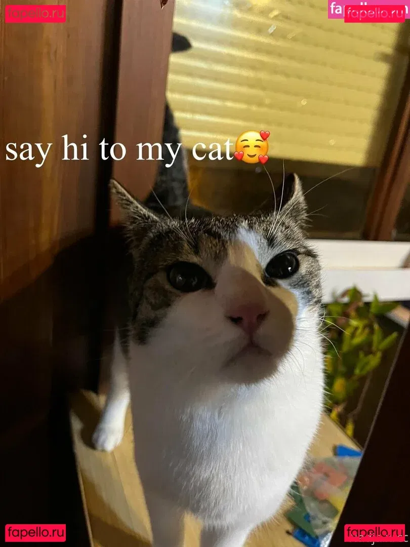 bunnynadja Onlyfans Photo Gallery 