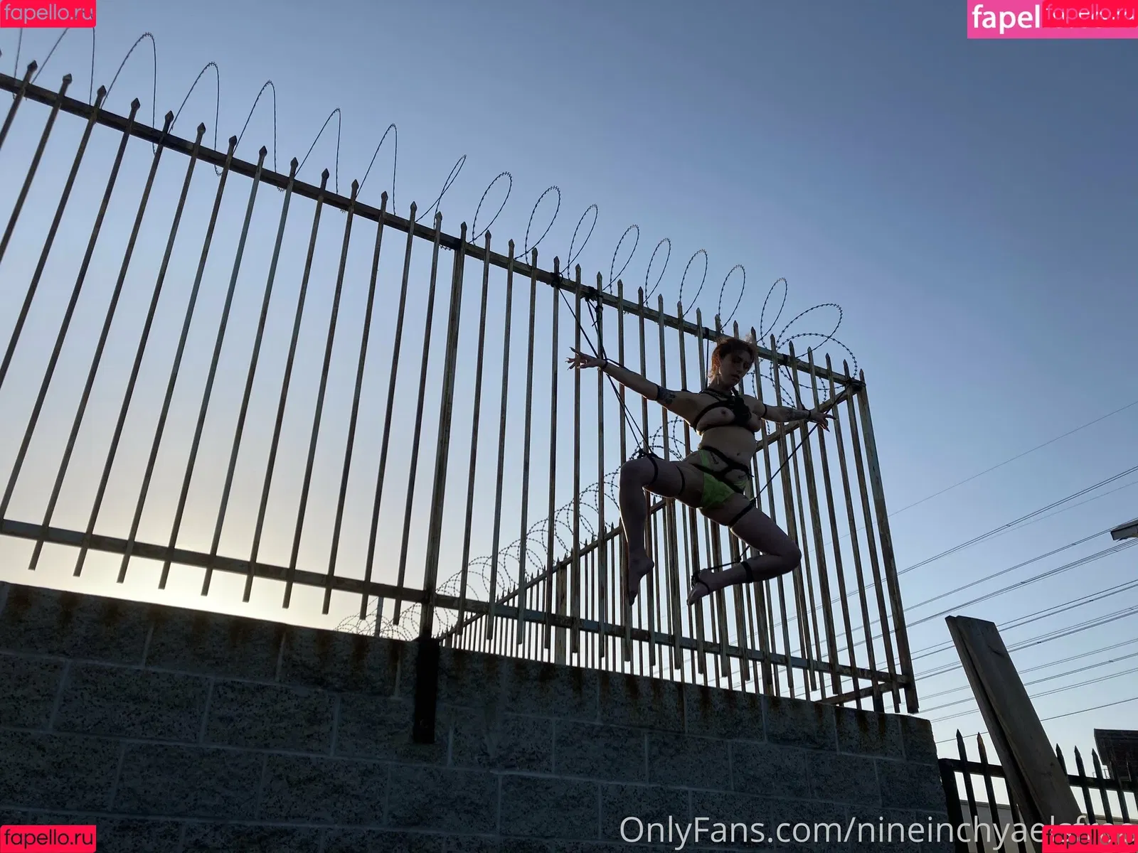 nineinchyaelsfree Onlyfans Photo Gallery 