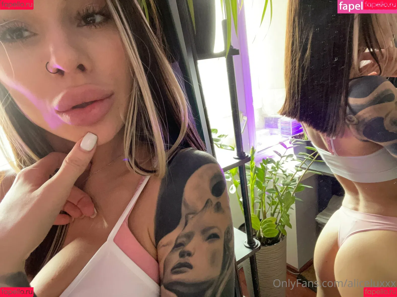 aliceluxxx Onlyfans Photo Gallery 
