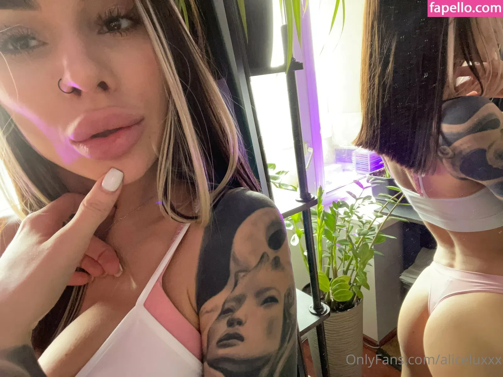 aliceluxxx Onlyfans Photo Gallery 