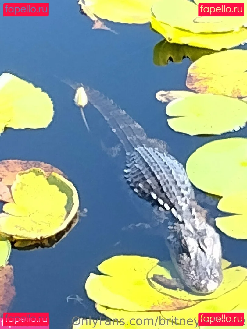 britneyathome Onlyfans Photo Gallery 