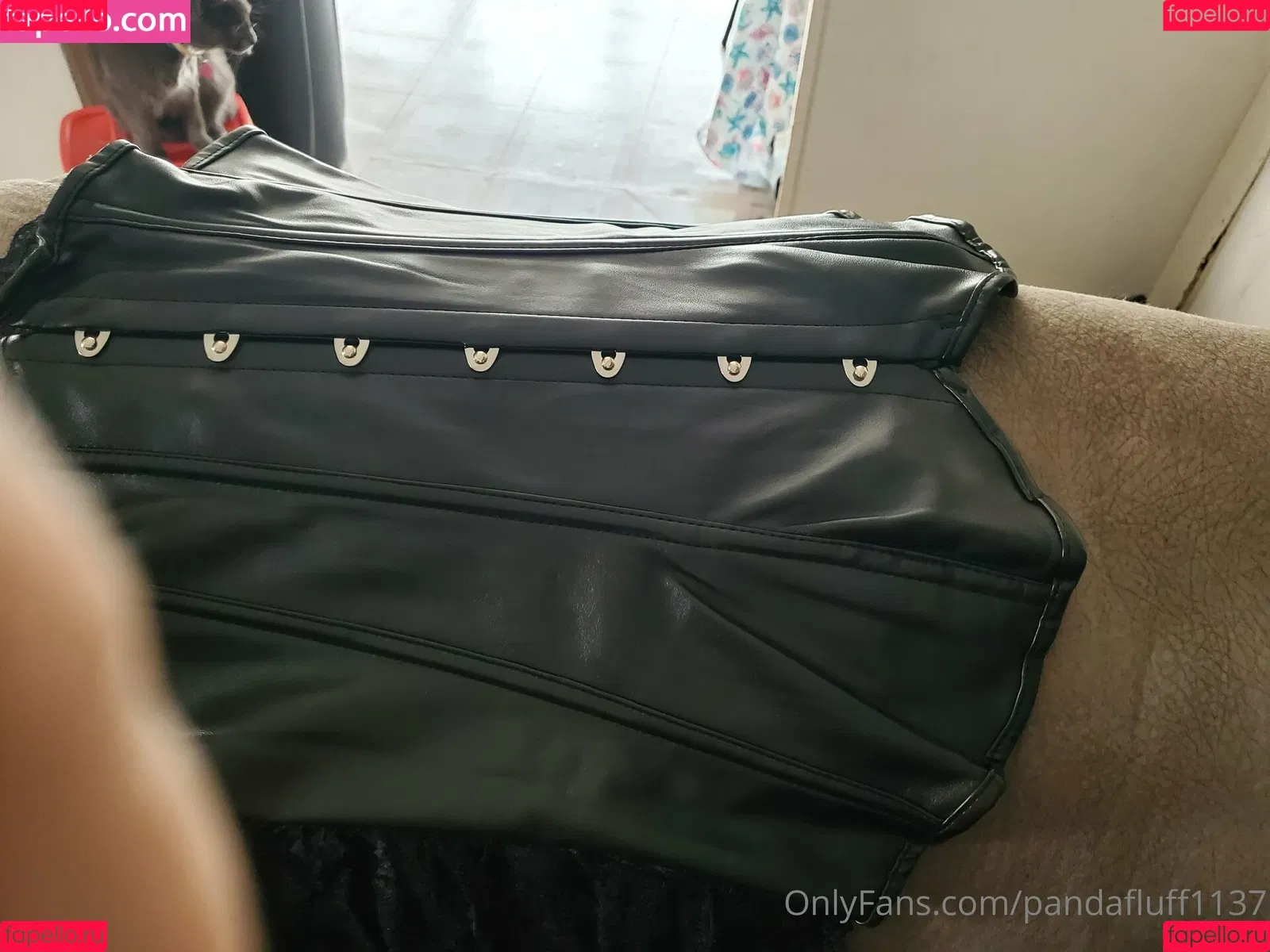 pandafluff1137 Onlyfans Photo Gallery 